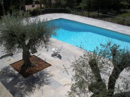 Cognac Classic Antique Paving and Pool Coping